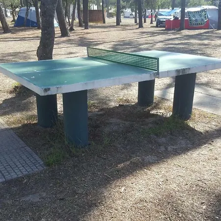 Mira Park *