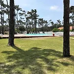 Mira Park Kamp alanı