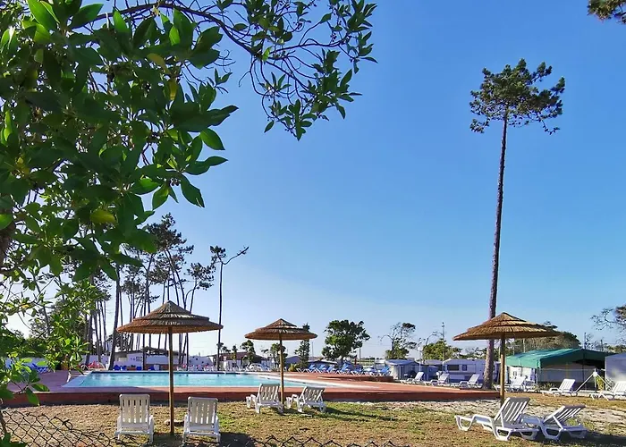 Mira Park 캠프장 *