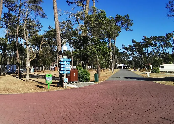 Mira Park 캠프장 *